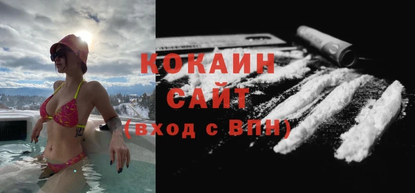 гашик Козловка