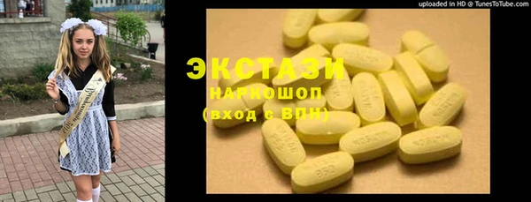 дмт Козельск