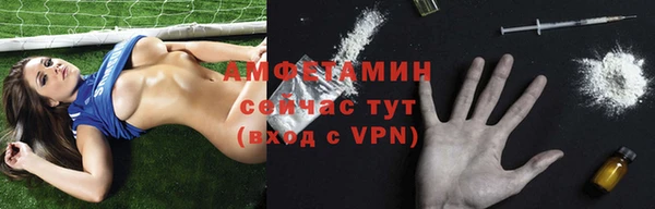 дмт Козельск
