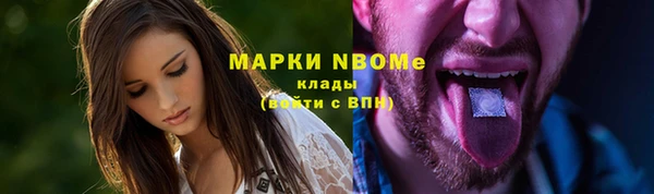 гашик Козловка