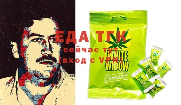 гашик Козловка