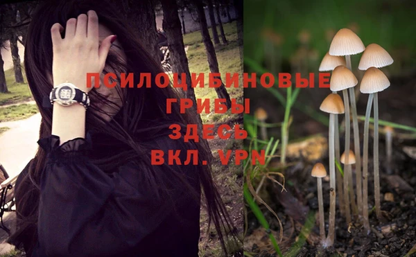 Альфа ПВП Кодинск