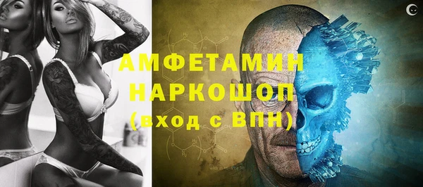 дмт Козельск