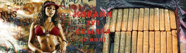 Альфа ПВП Кодинск