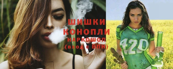 дмт Козельск