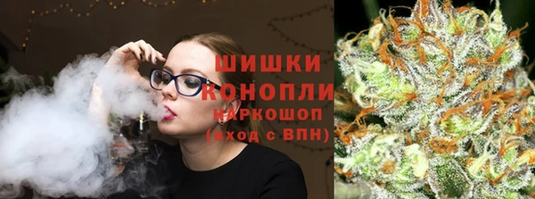 дмт Козельск