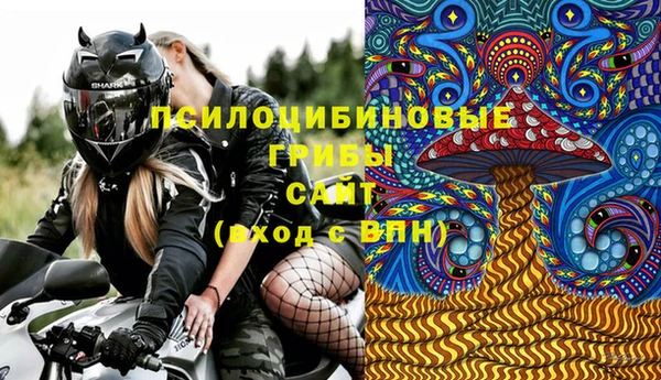 гашик Козловка