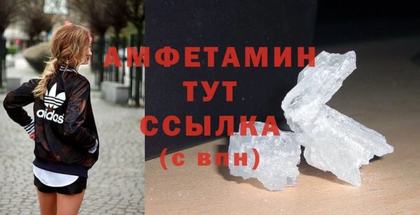 гашик Козловка