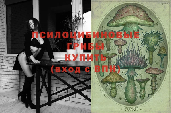 дмт Козельск