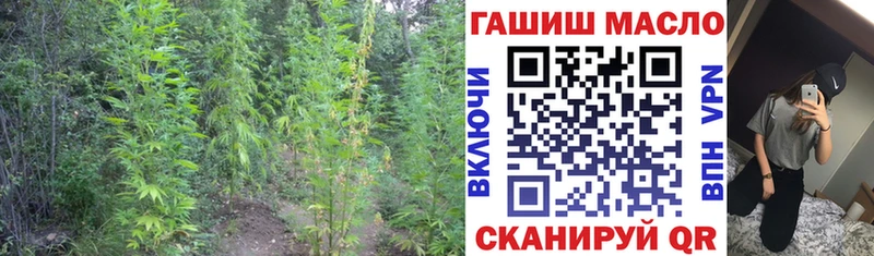 ТГК концентрат  Купить  Зверево 