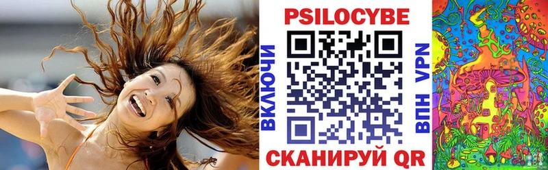 Псилоцибиновые грибы прущие грибы  Купить закладки  Зверево 